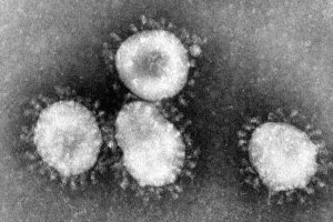 Canadian AI detected coronavirus outbreak days before global health agencies.