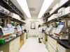 BeiGene Rebrands as BeOne Medicines in Oncology Push A modern corporate sign reading BeOne Medicines displayed in a bright lobby with glass walls and greenery.