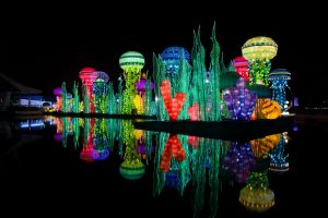 UAE Theme Parks Use Machine Learning to Predict and Manage Crowds