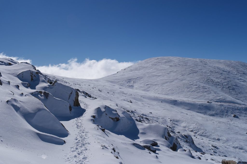 AI drone used in Kosciuszko search marks first for missing person rescue