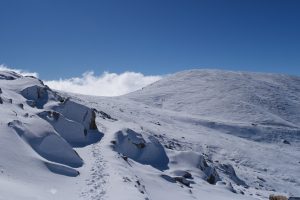 AI drone used in Kosciuszko search marks first for missing person rescue