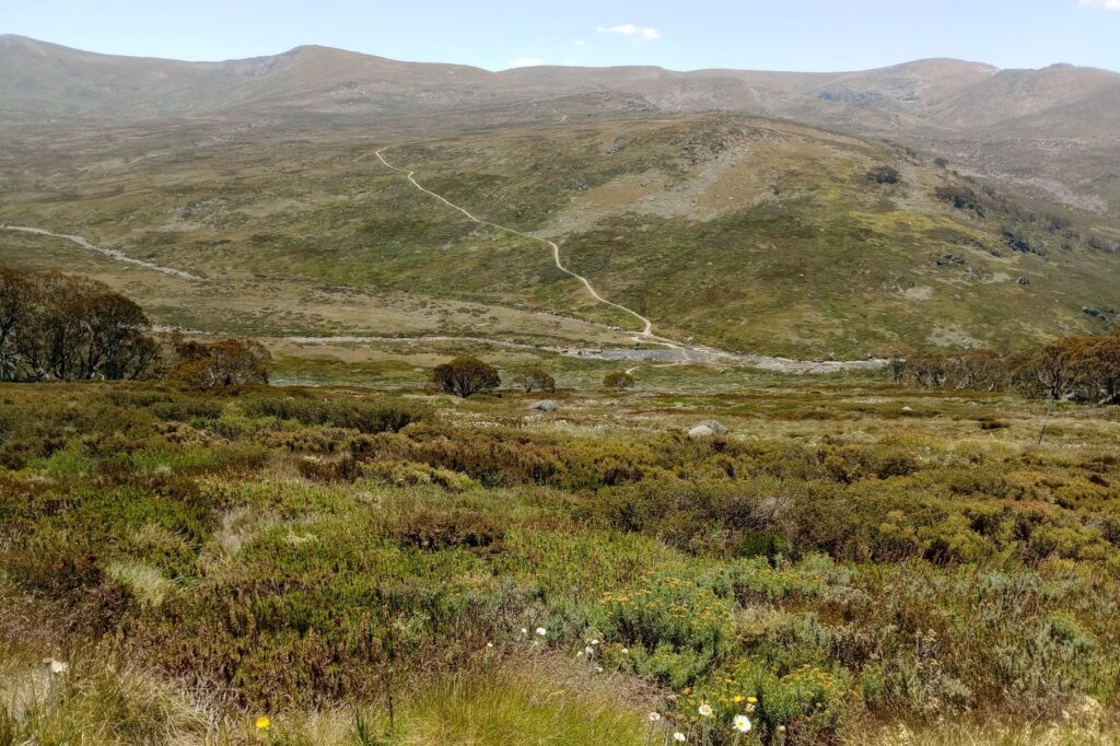 Hikers lost near Kosciuszko found by artificial intelligence drone