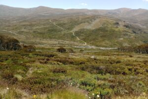 Hikers lost near Kosciuszko found by artificial intelligence drone