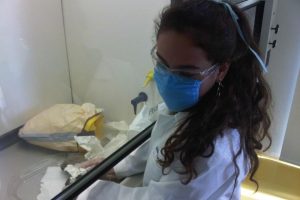 Study: Palestinian health students’ AI use varies from regular to limited