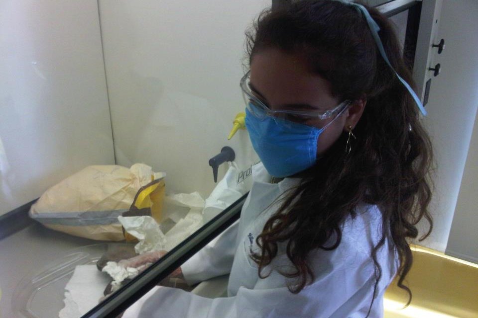 Study: Palestinian health students\u2019 AI use varies from regular to limited