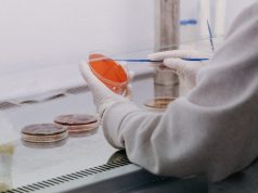 Columbia University Gene-Editing Advance Renews Ethical Concerns Columbia University Gene-Editing Advance Renews Ethical Concerns