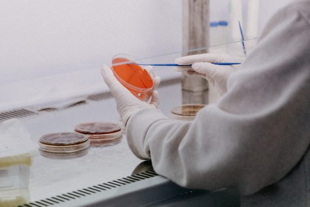 Columbia University Gene-Editing Advance Renews Ethical Concerns Columbia University Gene-Editing Advance Renews Ethical Concerns