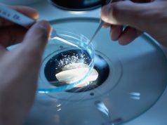 Scripps Research Discovery Shifts Alzheimer’s Focus from Plaques to Inflammation Scripps Research Discovery Shifts Alzheimer’s Focus from Plaques to Inflammation