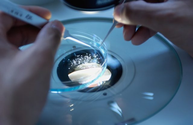 Scripps Research Discovery Shifts Alzheimer’s Focus from Plaques to Inflammation Scripps Research Discovery Shifts Alzheimer’s Focus from Plaques to Inflammation