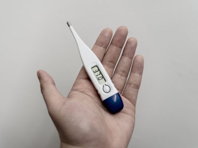 Southern Europe's Heatwave Strains Hospitals and Emergency Services Medical staff wheel heatstroke patients into an overcrowded emergency ward as outdoor thermometer hits 45 °C under a motionless anticyclone.