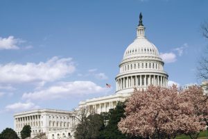 Majority Of Americans Now Support Seizing AI Industry Wealth, 2025 Poll Finds