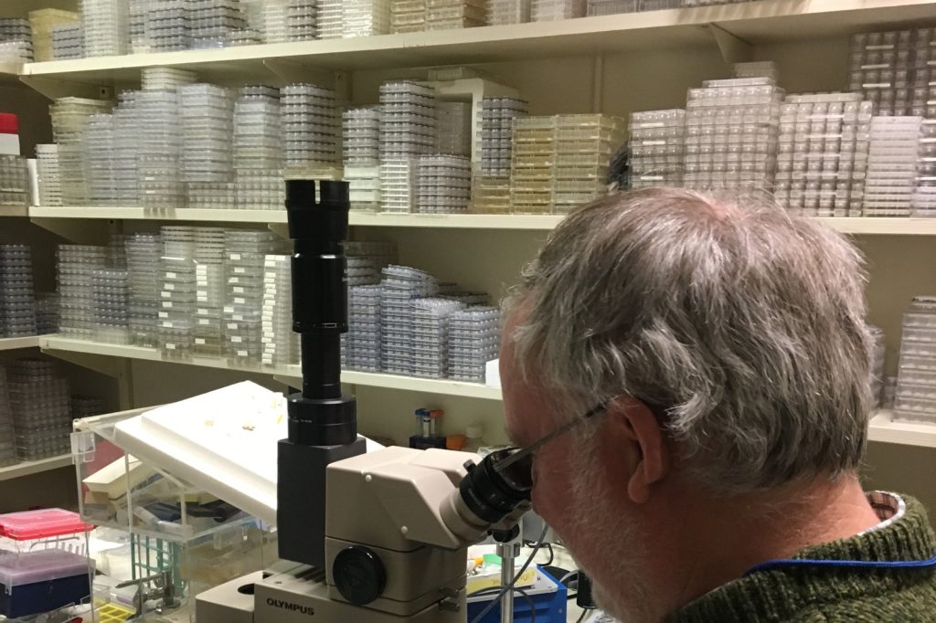 AI Transforms Medicine: Diagnosis and Drug Discovery