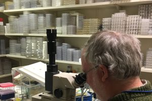 AI Transforms Medicine: Diagnosis and Drug Discovery
