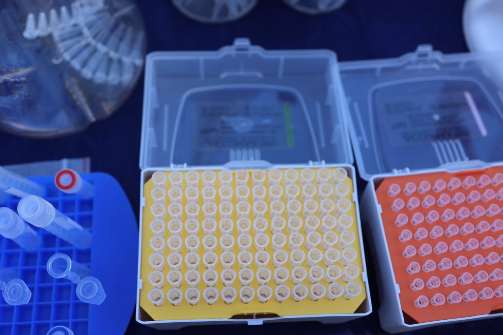 AI in Drug Discovery: Speeding Up the Search for New Treatments