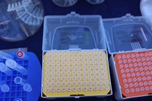 AI in Drug Discovery: Speeding Up the Search for New Treatments