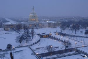 Public Opinion on AI and Wealth Inequality: Detailed Poll Findings