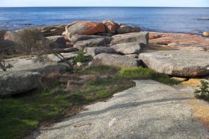 Is Tasmania ready for the AI data centre boom?