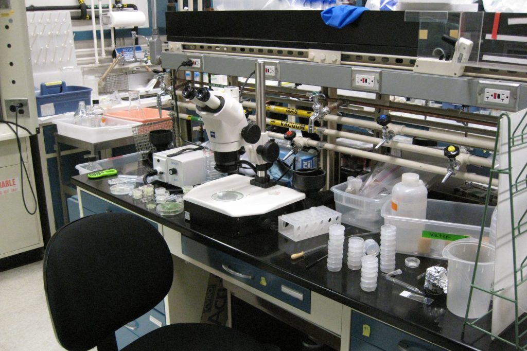 AI designs synthetic viruses to combat superbugs in lab tests