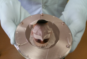 Berkeley Lab Team Directly Observes Electron-Defect Interactions in 2D Semiconductors