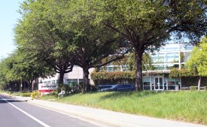 OpenAI, Broadcom debut custom Jalapeño chip for AI inference