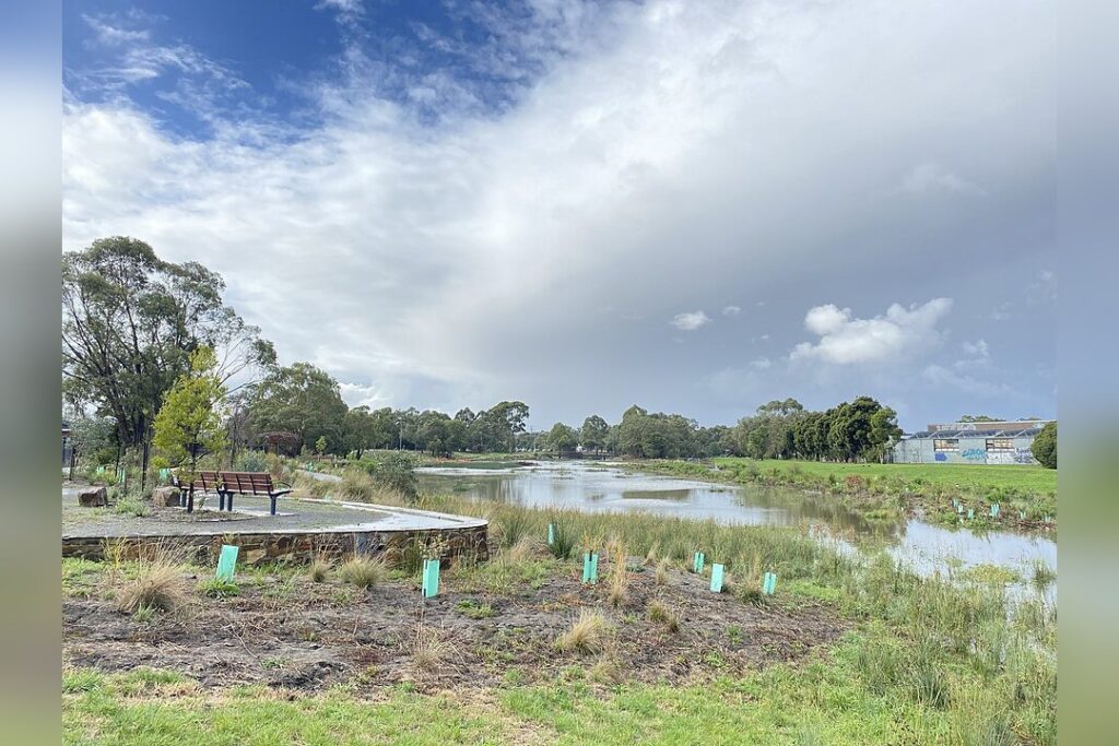 Wetlands