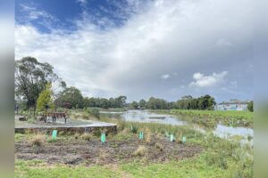 Microsoft Integrates Wetlands and Native Gardens at Data Centers Amid Gas Power Deal Criti